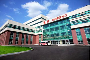 萬(wàn)科首進(jìn)沈北對(duì)外亮相 雷明鋼管廠項(xiàng)目奠基 定名萬(wàn)科 北宸之光