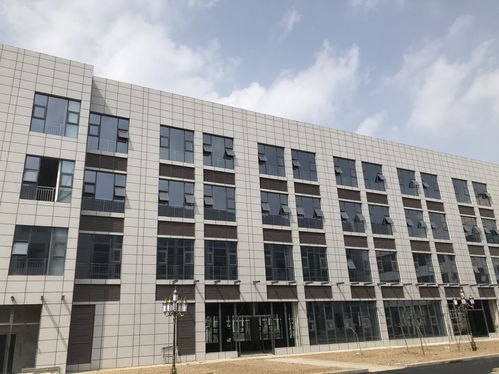 裝配式預制卡槽陶瓷板保溫一體板 協(xié)美醫(yī)院項目中的卓越應用與專業(yè)供應